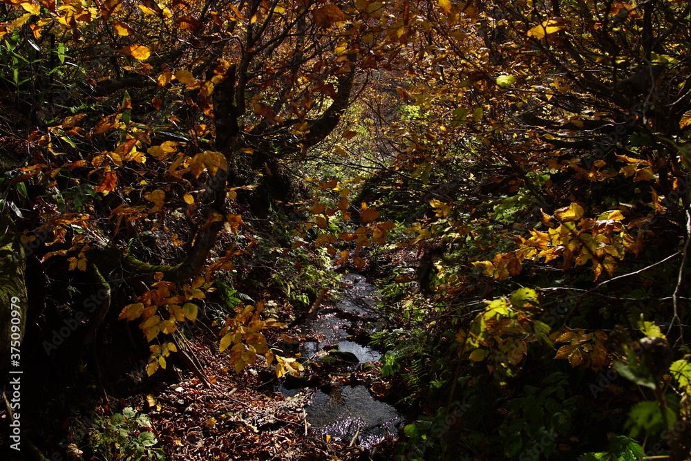 Beautiful autumn landscape in Northern Alps of Japan, Otari, Nagano.