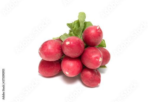 Red bunch of radish on a white background.