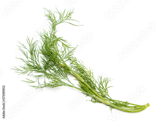 Green dill isolated on a white background .