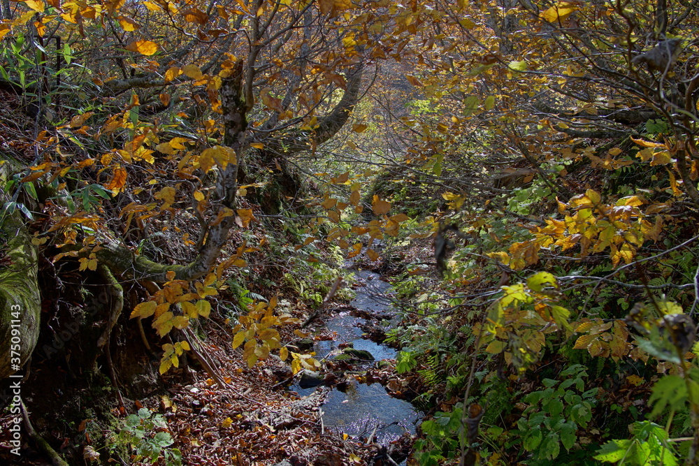 Beautiful autumn landscape in Northern Alps of Japan, Otari, Nagano. Beautiful autumn landscape in Northern Alps of Japan, Otari, Nagano.