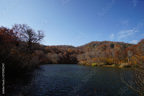 Beautiful colored trees with lake in autumn, landscape photography. Outdoor and nature in Japan © Hirotsugu