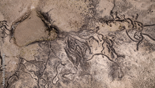 Trails eft by limpets in the rockpools covered by shallow layer of sand in Caleta de Famara  Lanzarote