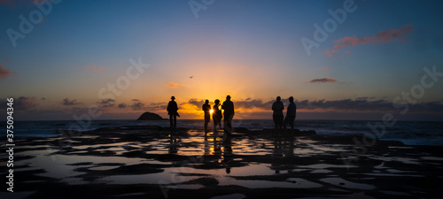 Silhouette image of people enjoying sunset at Muriwai beach  Waitakere  Auckland