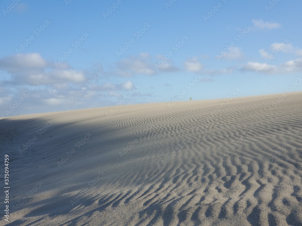 Windy Beach Windy Beach