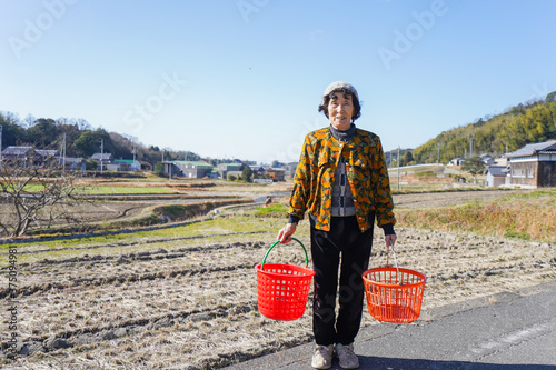 洗濯をする高齢の女性 photo