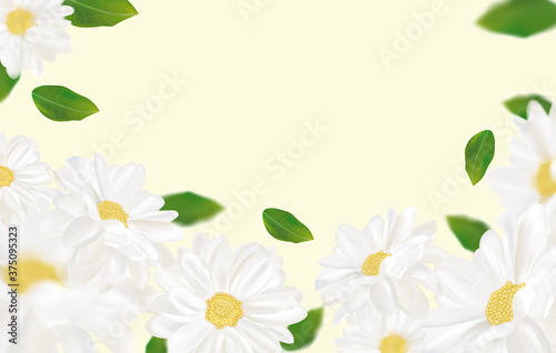 Beautiful chamomile background for your text or banner. White blooming chamomile. Banner for beauty product, perfume or medicine. 3d chamomile on yellow background. Vector illustration