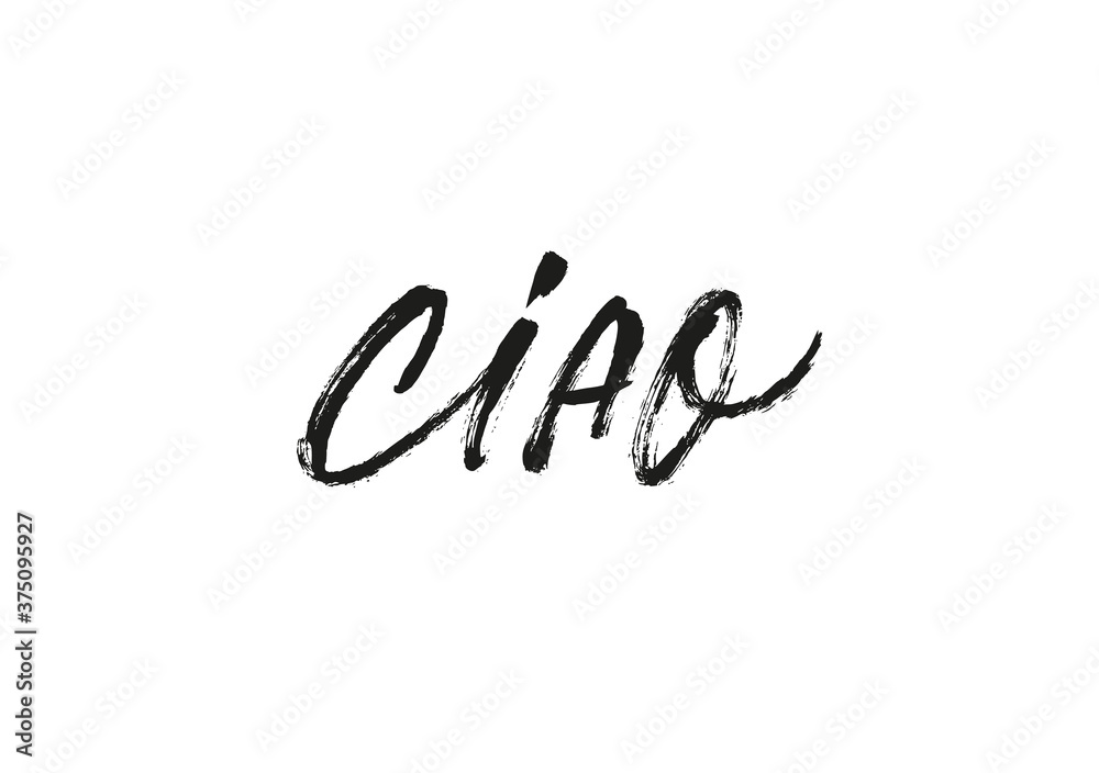 Ciao word, ink brush vector lettering. Modern phrase handwritten vector calligraphy. Hello in Italian. Black paint lettering isolated on white background. Postcard, greeting card, t shirt print. Ciao word, ink brush vector lettering. Modern phrase handwritten vector calligraphy. Hello in Italian. Black paint lettering isolated on white background. Postcard, greeting card, t shirt print.
