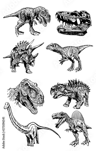 Hand-drawn set of  dinosaurs isolated on white, vector illustration
