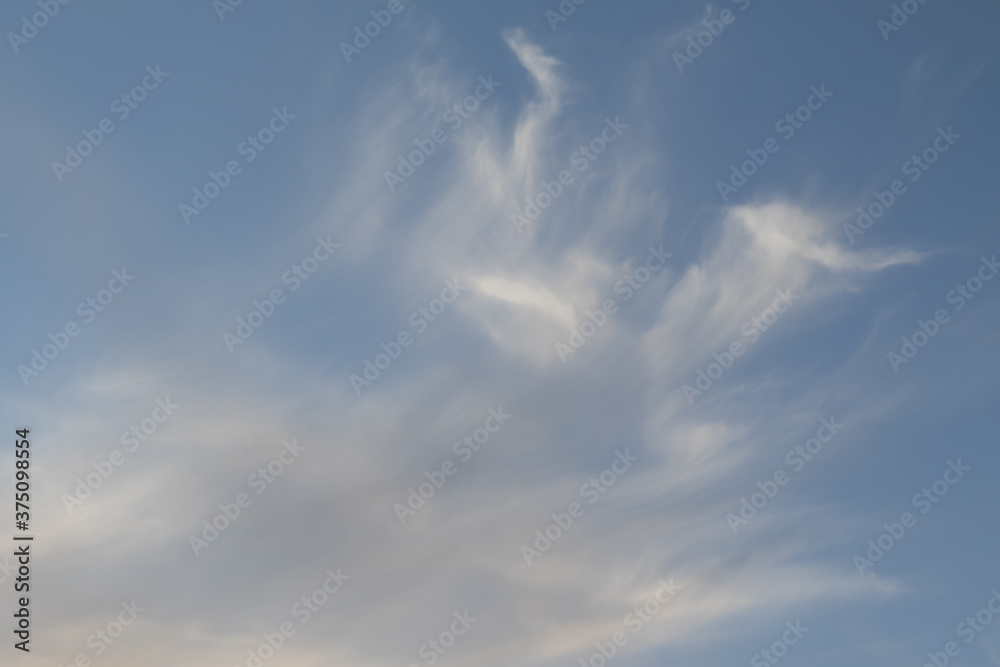 White cirrus clouds are filiform, the sky is blue.