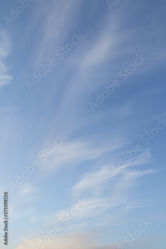 White cirrus clouds are filiform, the sky is blue.