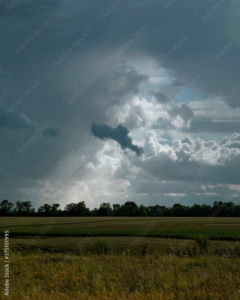 storm clouds over the field, sun rays through the clouds storm clouds over the field, sun rays through the clouds
