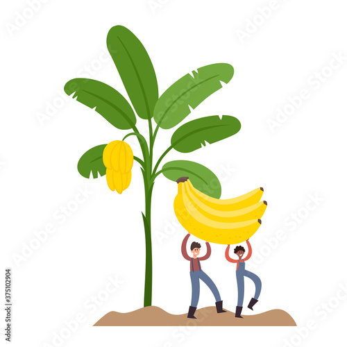 Vector illustration with tinypeople holding bananas and tropic palm photo