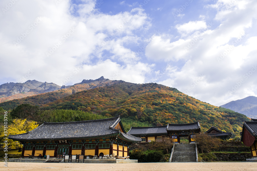 The beautiful and colorful autumn landscape of temple background autumn colored mountain and blue sky.