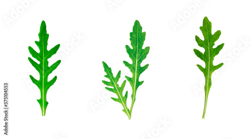 Top view of fresh green spicy arugula salad leaves set isolated on white background.