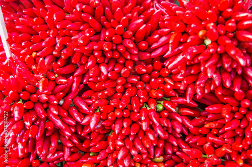 pepperoncino rosso photo