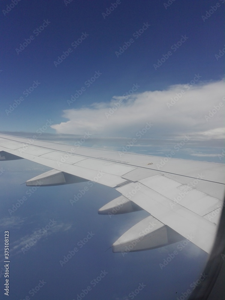 wing of airplane wing of airplane