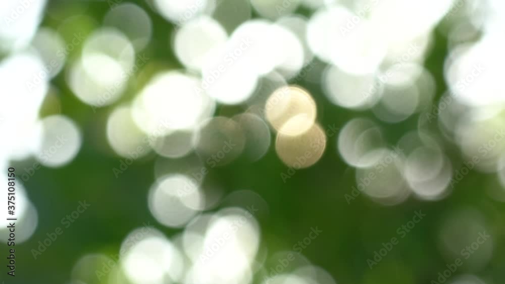 Green blur of fresh summer trees isolated at sunny sky background. Green blur of fresh summer trees isolated at sunny sky background.