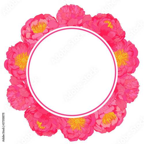Vector peony plowers pink frame. Colorful template