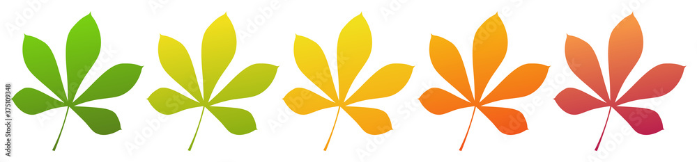 The chestnut leaf. Set of different autumn colors. Isolated on a white background. Vector illustration
