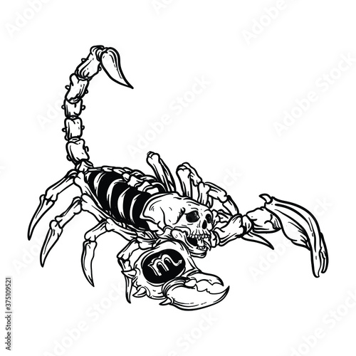 tattoo and t-shirt design black and white hand drawn scorpio skull zodiac  premium vector