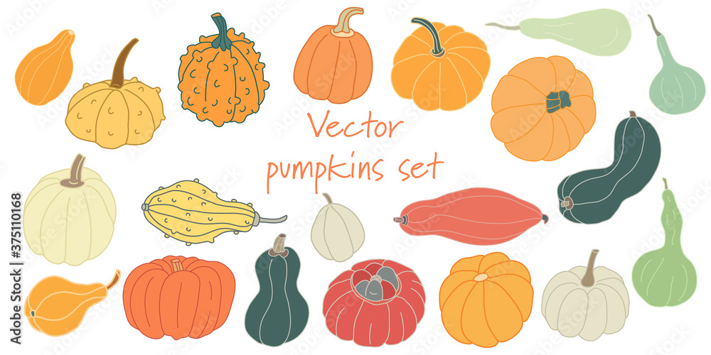 Set with different varieties of pumpkins and squashes isolated on white. Hand drawn vector illustration in flat style with lines. Farming, gardening and harvest theme. Bright colors. Set with different varieties of pumpkins and squashes isolated on white. Hand drawn vector illustration in flat style with lines. Farming, gardening and harvest theme. Bright colors.