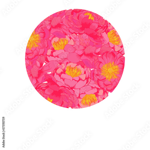 Vector peony plowers pink frame. Colorful template