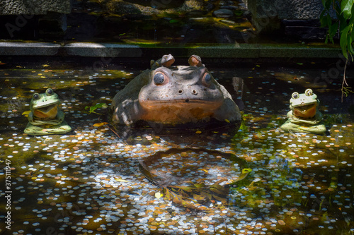 Japanese Frog Statue © Moritz