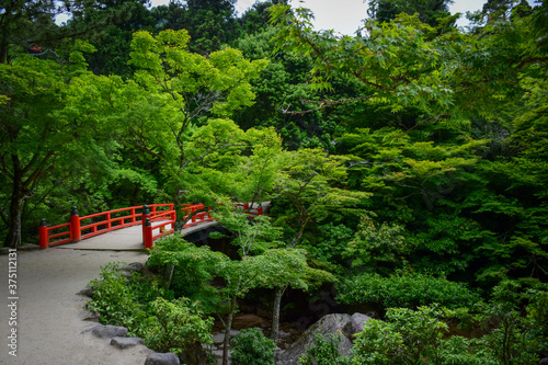 Bridge in a Japanese Garden