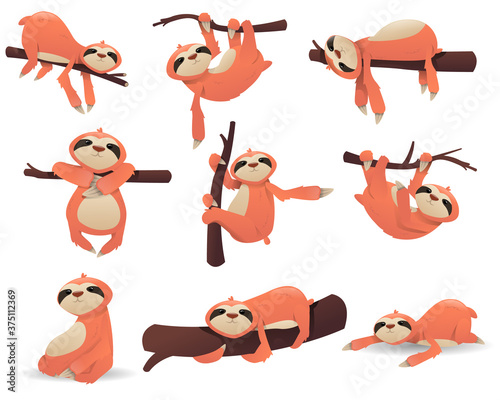 Set of cartoon cute sloth. Poze of sloth