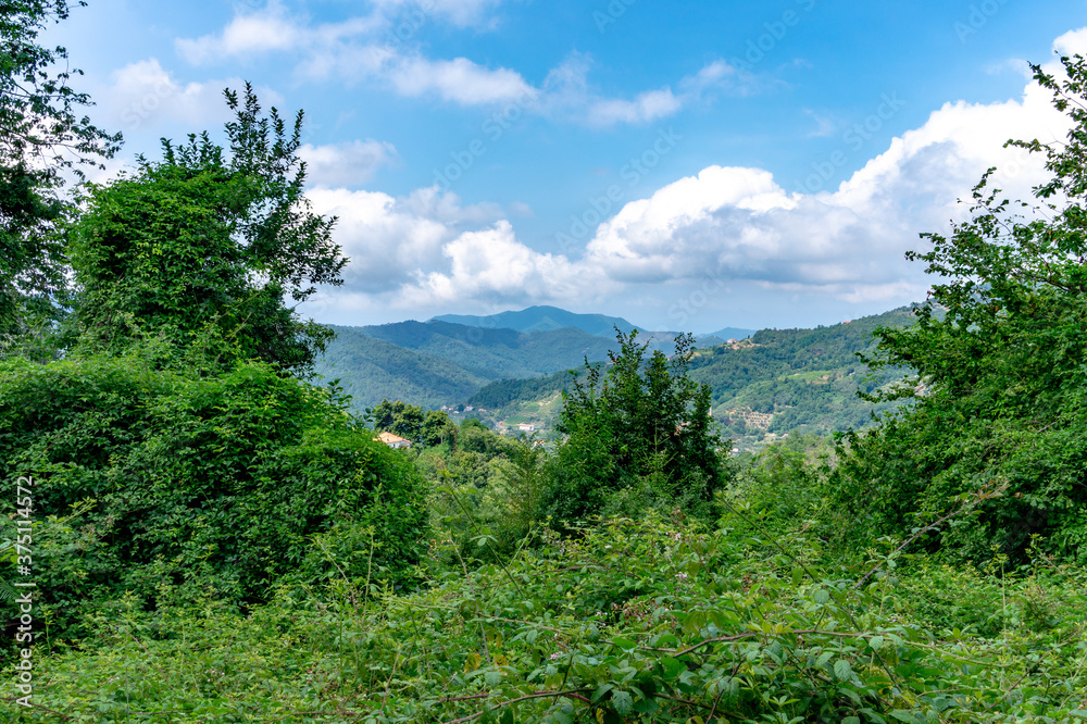 view of the valley along a mountain path