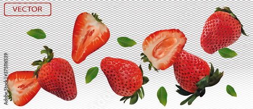Fototapeta Naklejka Na Ścianę i Meble -  Realistic strawberry on transparent background. Whole strawberries, sliced strawberries with with green leaves. Illustration for your poster, banner, natural product. 3D vector illustration.
