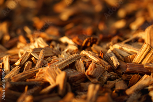 Close up on wood chips at sunset with autumn colors