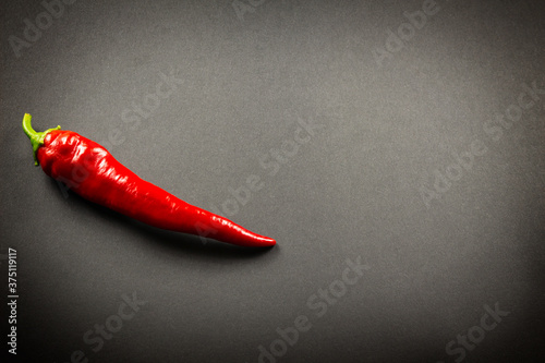Red pepper on a dark background