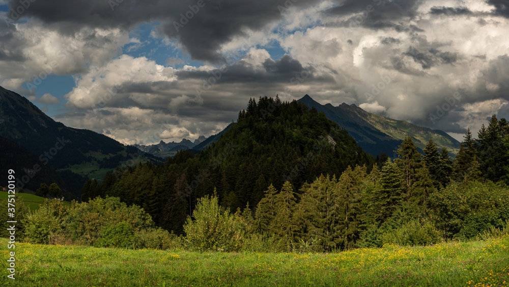 View on Gruyere mountains from Leysin, Switzerland 