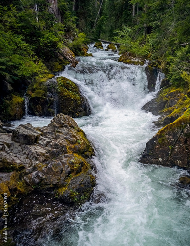Fototapeta Naklejka Na Ścianę i Meble -  Gorgeous Deer Creek cascading and bursting thru the boulders and branches with a natural mountain setting in the Mount Rainier National Park in Washington State