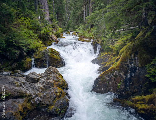 Gorgeous Deer Creek cascading and bursting thru the boulders and branches with a natural mountain setting in the Mount Rainier National Park in Washington State