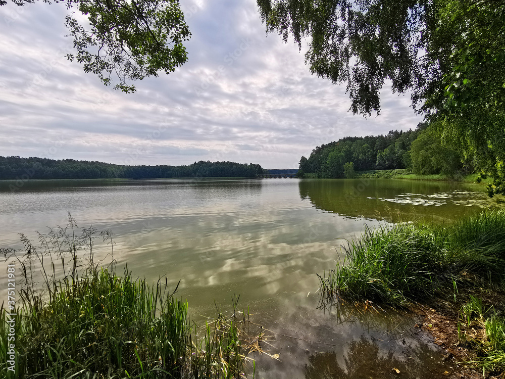 Wonderful lake view in summer. Belarusian Republican Landscape Reserve 