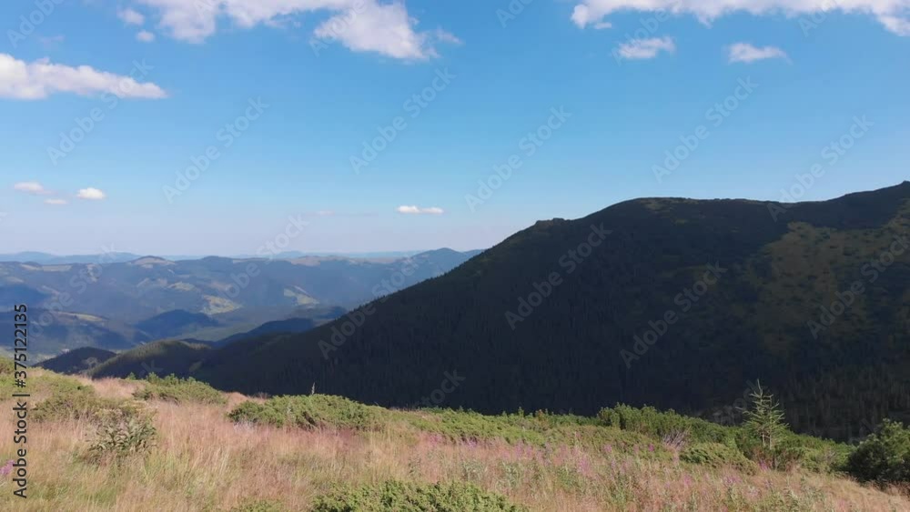 Beautiful mountainous area. Forest in the mountains. View from above. Trees grow on hills. Ukrainian Carpathians. Beautiful mountainous area. Forest in the mountains. View from above. Trees grow on hills. Ukrainian Carpathians.