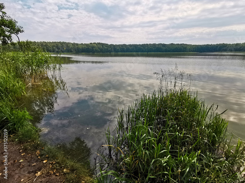 Wonderful lake view in summer. Belarusian Republican Landscape Reserve  Lakes 