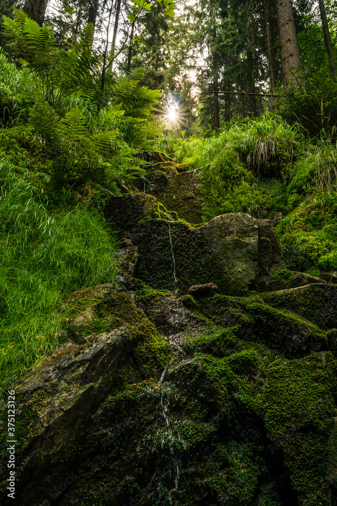 Beautiful tiny waterfall in green surrounding in the forest backlit by the sun with rays Beautiful tiny waterfall in green surrounding in the forest backlit by the sun with rays