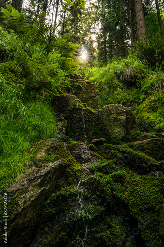 Beautiful tiny waterfall in green surrounding in the forest backlit by the sun with rays