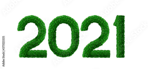 Number 2021 made from green grass and leaves
