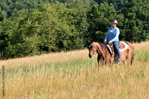 Geländeritt mit American Quarter Horse