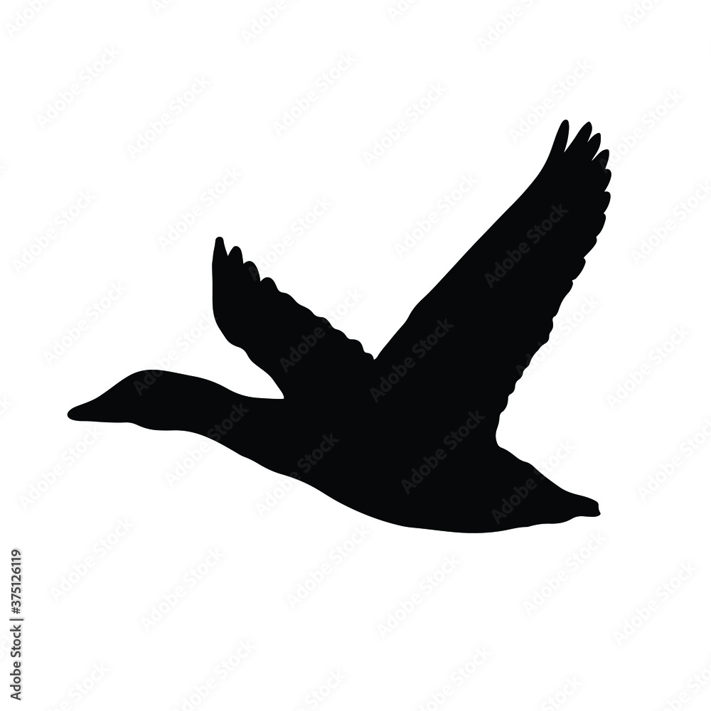 Obraz premium Duck in flight icon, vector illustration
