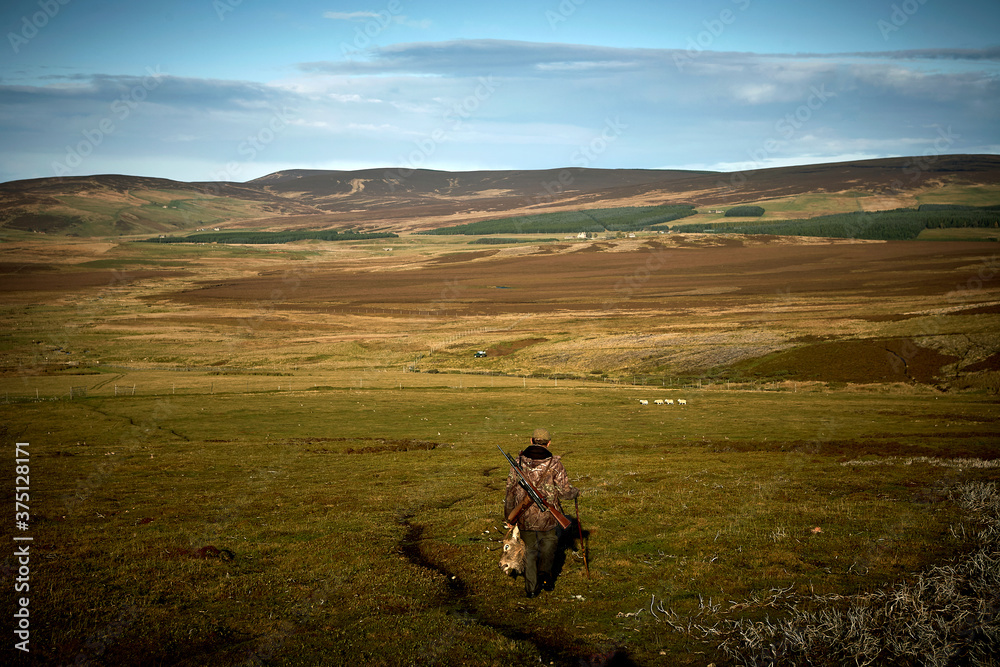 A hunter with his trophy after a big hunt in Scotland. Walking in the highlands with a dead deer's head in his hand and a shotgun on his back.