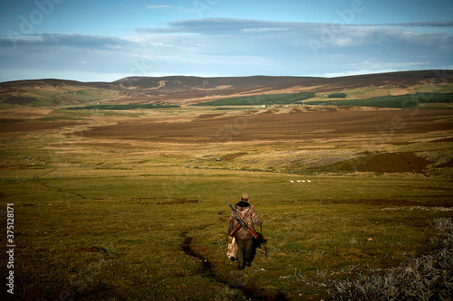 A hunter with his trophy after a big hunt in Scotland. Walking in the highlands with a dead deer's head in his hand and a shotgun on his back.