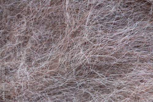 Animal fur texture or background. Macro shot. Selective focus.