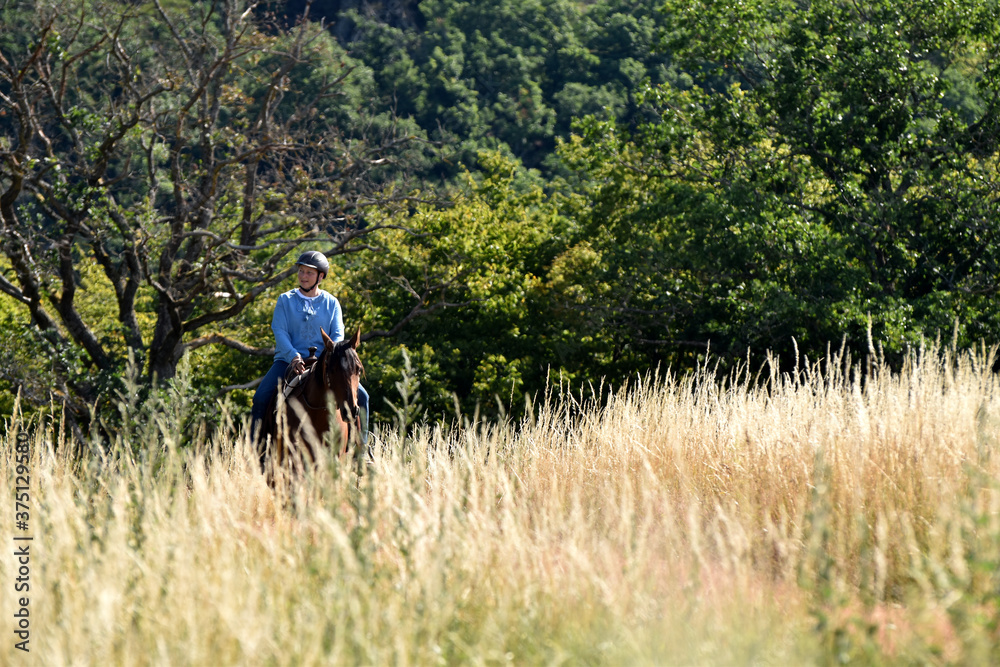 Geländeritt mit American Quarter Horse Geländeritt mit American Quarter Horse