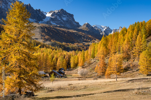 The Claree Upper Valley with larch trees in full autumn colors and Cerces Massif in the distance. Nevache, Hautes-Alpes (05), Alps, France