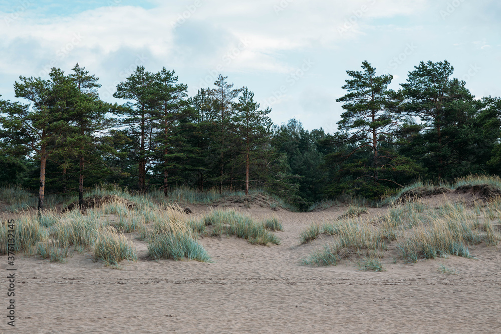 Beautiful sandy beach Yyteri at summer, in Pori, Finland Beautiful sandy beach Yyteri at summer, in Pori, Finland